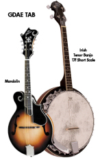 mandolin and tenor banjo